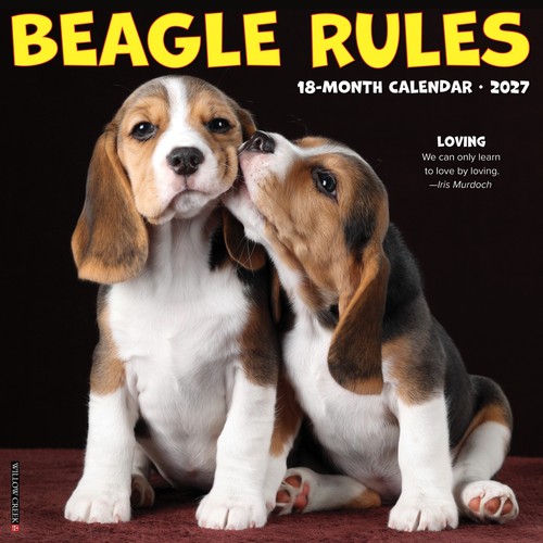 Beagle rules 2027 - 12", 12"